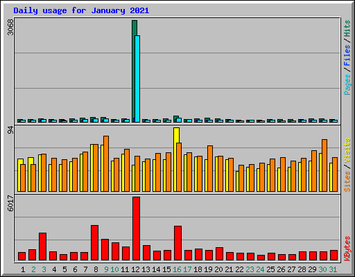 Daily usage for January 2021