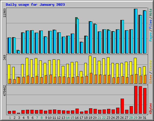 Daily usage for January 2023