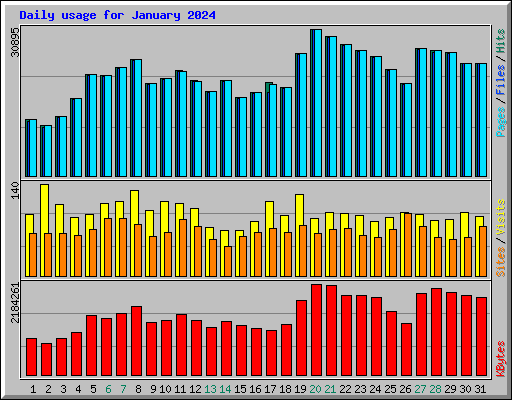 Daily usage for January 2024
