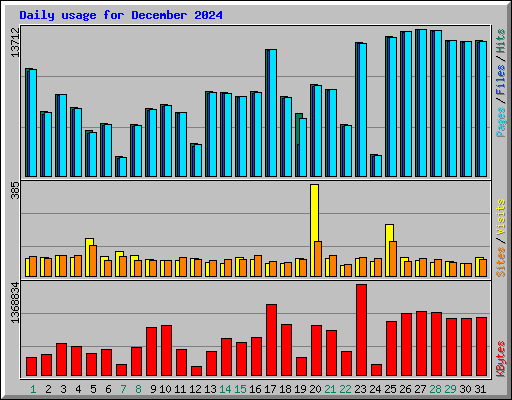 Daily usage for December 2024