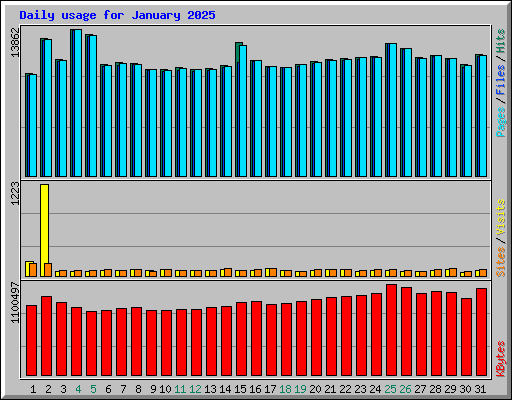 Daily usage for January 2025