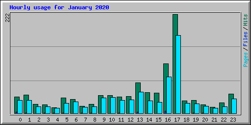 Hourly usage for January 2020