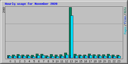 Hourly usage for November 2020