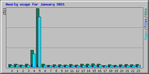 Hourly usage for January 2021