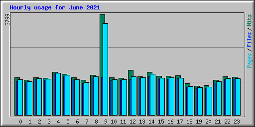 Hourly usage for June 2021