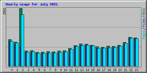 Hourly usage for July 2021