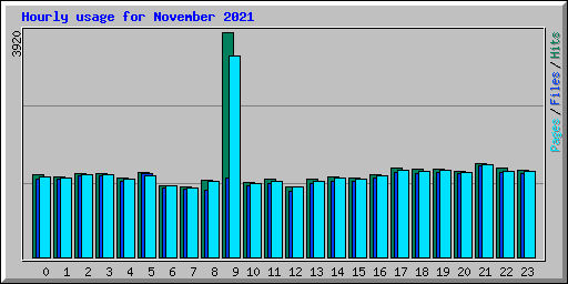 Hourly usage for November 2021