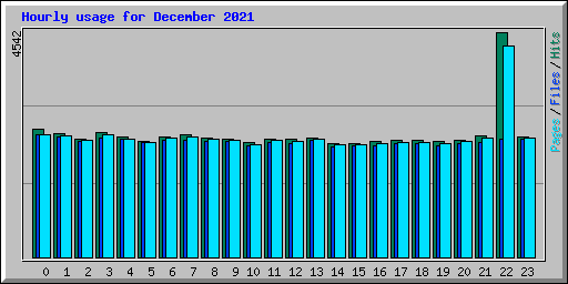 Hourly usage for December 2021