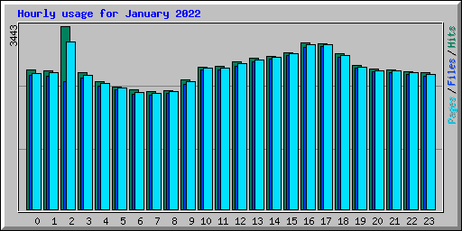 Hourly usage for January 2022