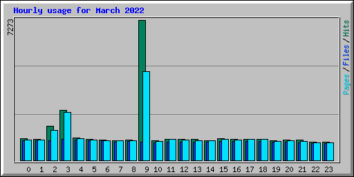 Hourly usage for March 2022