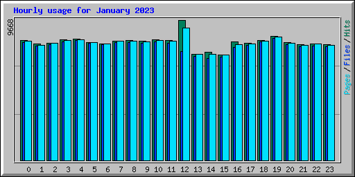Hourly usage for January 2023