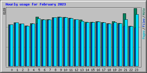 Hourly usage for February 2023