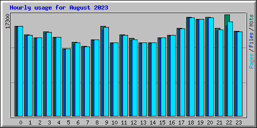 Hourly usage for August 2023