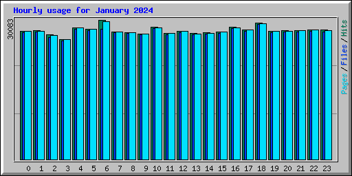 Hourly usage for January 2024