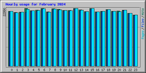 Hourly usage for February 2024
