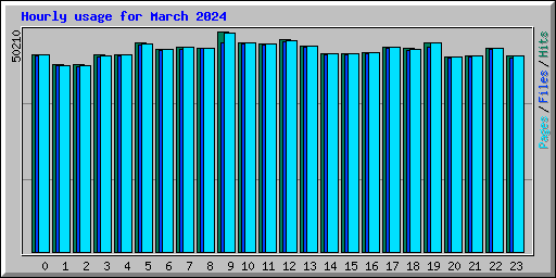 Hourly usage for March 2024