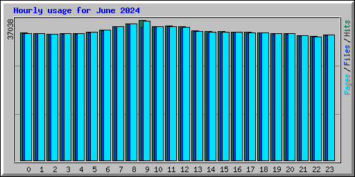 Hourly usage for June 2024