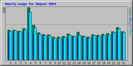 Hourly usage for August 2024