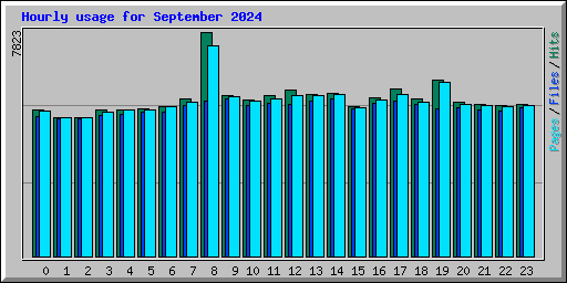 Hourly usage for September 2024