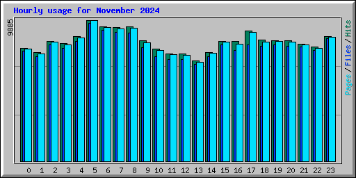 Hourly usage for November 2024