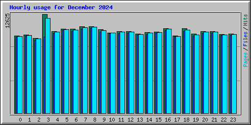 Hourly usage for December 2024