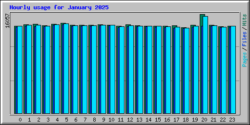 Hourly usage for January 2025