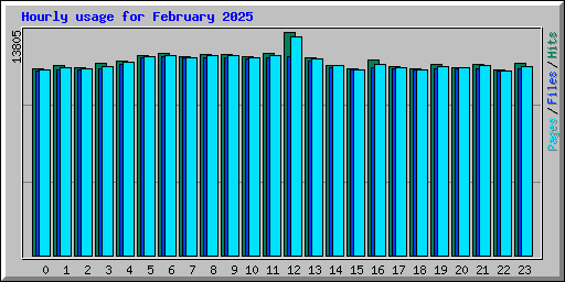 Hourly usage for February 2025
