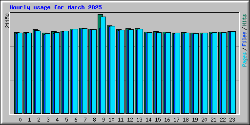 Hourly usage for March 2025
