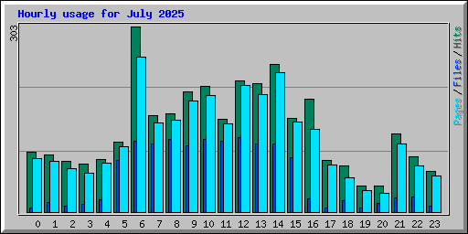 Hourly usage for July 2025