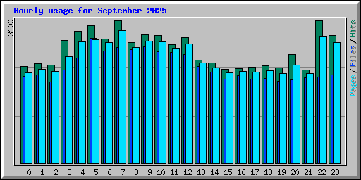 Hourly usage for September 2025