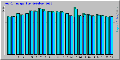 Hourly usage for October 2025