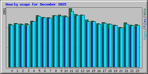 Hourly usage for December 2025