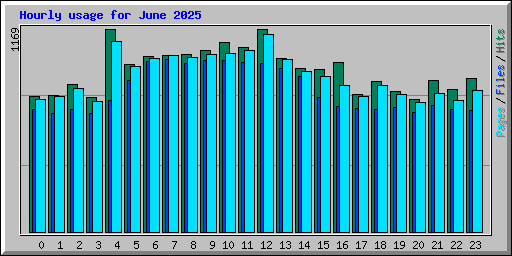 Hourly usage for June 2025