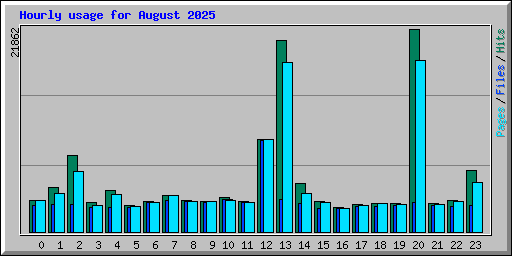 Hourly usage for August 2025